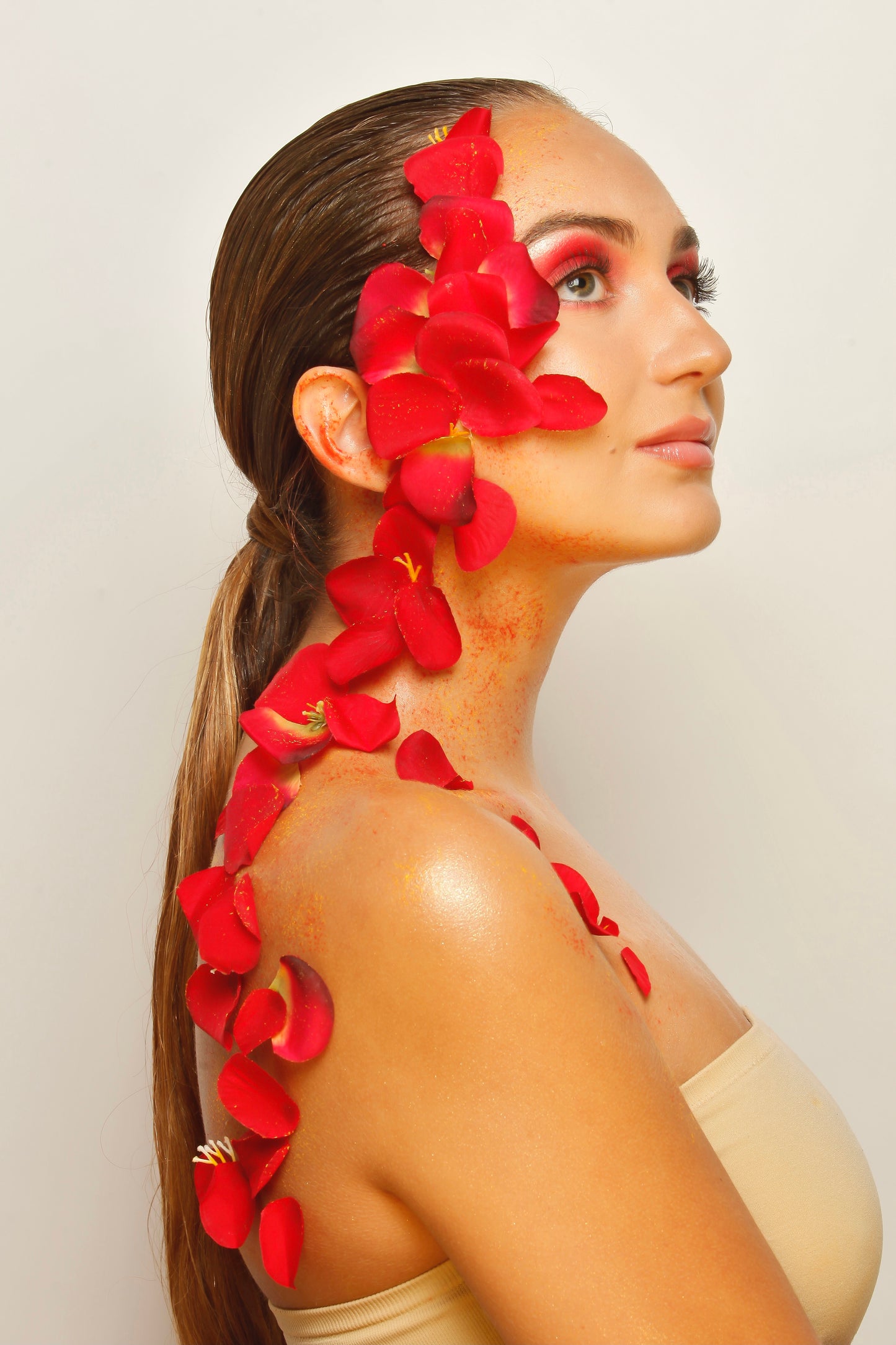 Maquillaje Para Cámaras Editorial
